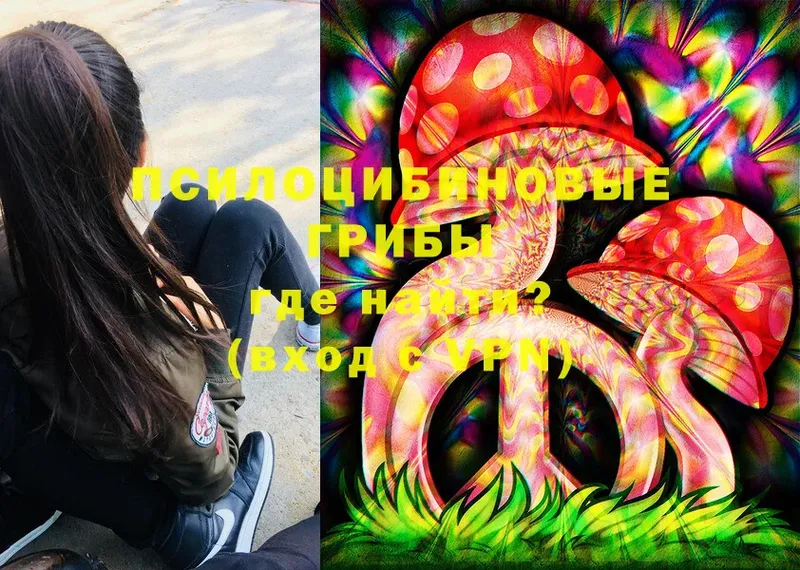 Псилоцибиновые грибы MAGIC MUSHROOMS  Губкин 